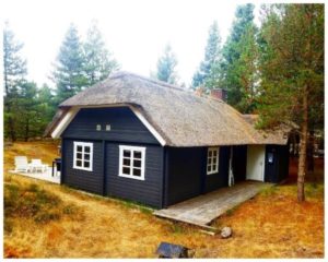 Urlaub in einem Ferienhaus in Dänemark – Packlisten – Geld sparen – Blavand