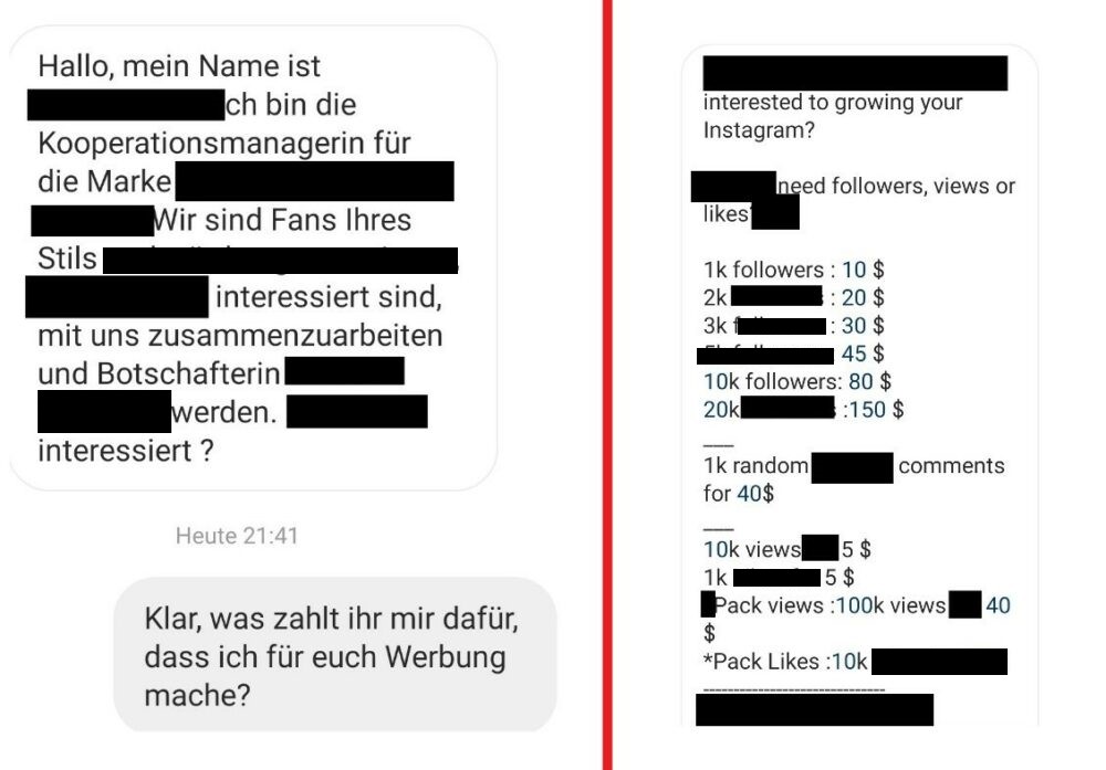 Botschafter_Fake_followers_kaufen