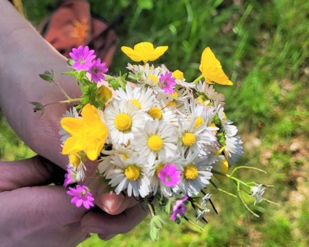 Blumen