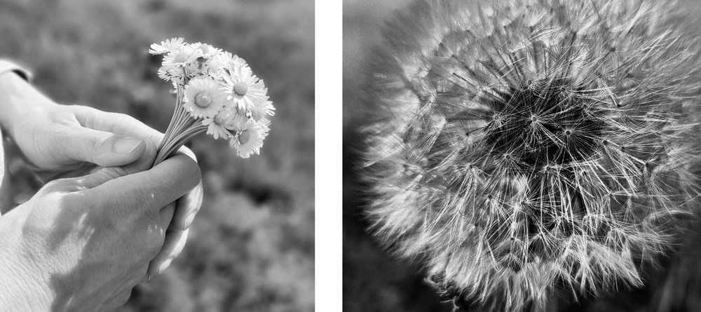 Blumen