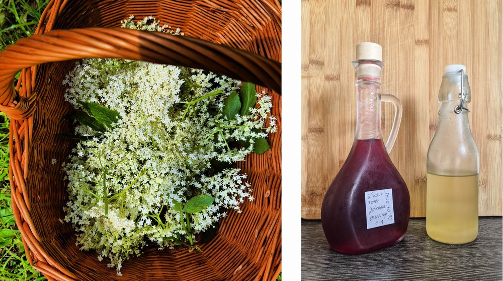 Holunderblüten, Sirup