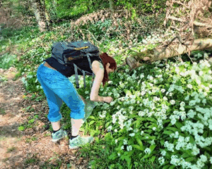 Vitamine aus der Natur: So versorgst du dich regional und saisonal!