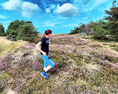 Dänemark-Heide