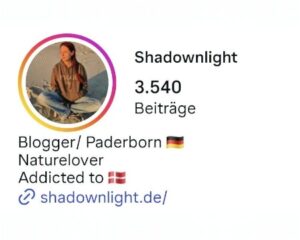 Fake Promotion Hubs auf Instagram erkennen