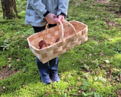 Naturglück im Herbst: Von Waldpilzen, Gemüseschätzen und echter Handwerkskunst