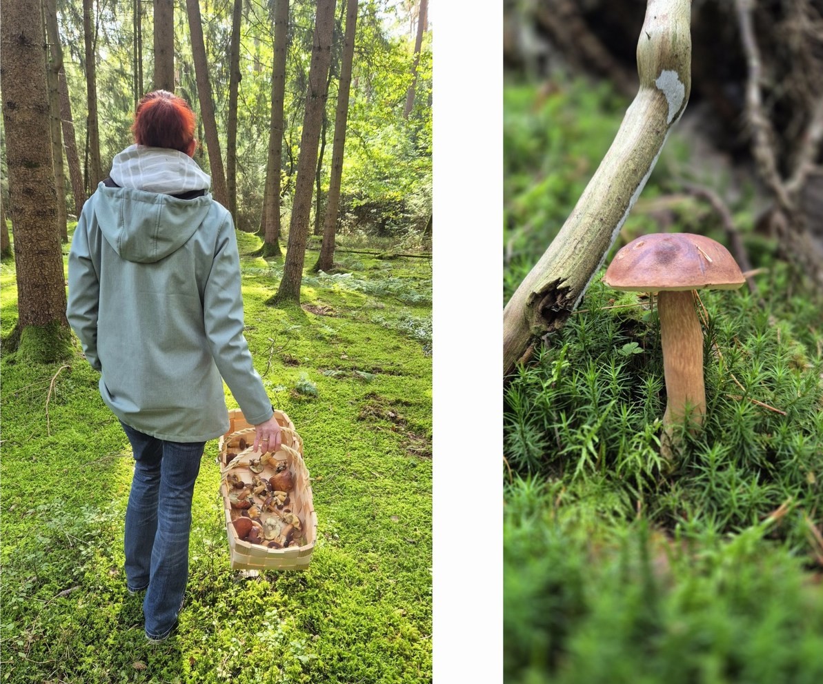 Pilze im Korb